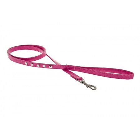 Collar+Correa Piel Borchie (1x32cm/1,2x120cm)