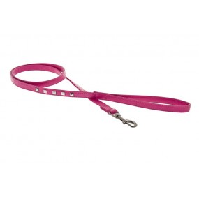 Collar+Correa Piel Borchie (1x32cm/1,2x120cm)