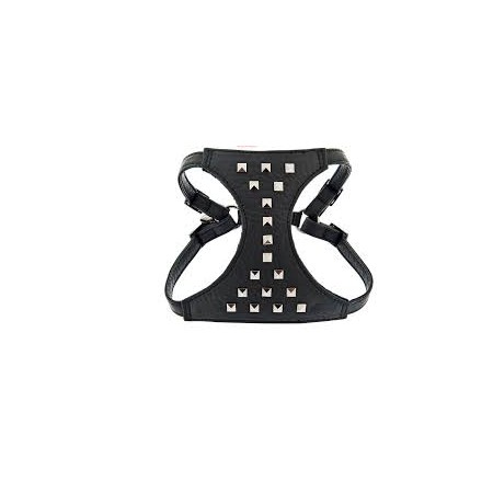 Arnés+Correa Piel Borchie 