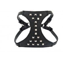 Arnés+Correa Piel Borchie T-S