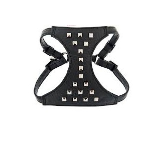 Arnés+Correa Piel Borchie 