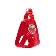 ARNES POIS FRESA XS 25-30CM