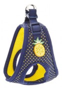 ARNES POIS PINA XS 25-30CM