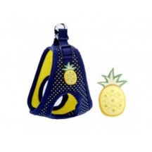 ARNES POIS PINA S 30-38CM