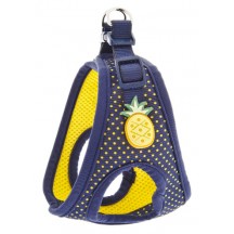 ARNES POIS PINA M 37-45CM