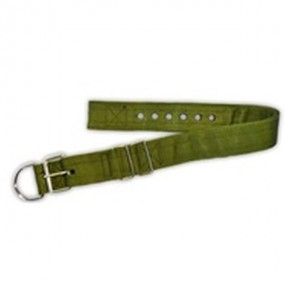 Collar de doble reforzado en nylon verde (5x70cm)
