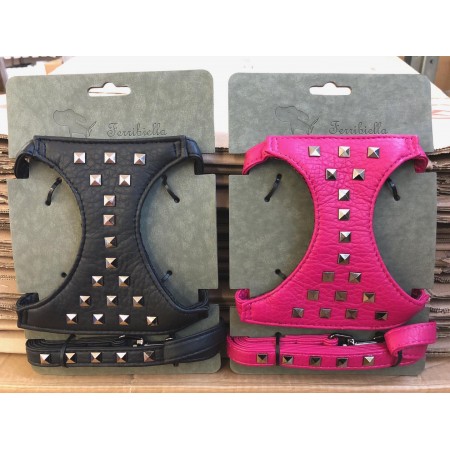 Arnés+Correa Piel Borchie 