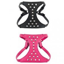 Arnés+Correa Piel Borchie T-S