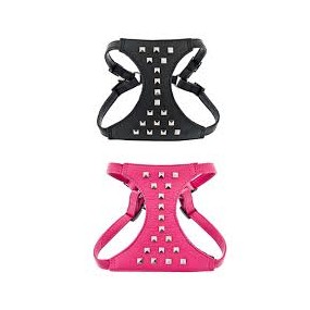 Arnés+Correa Piel Borchie 