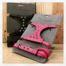 Arnés+Correa Piel Borchie T-M