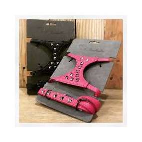 Arnés+Correa Piel Borchie 