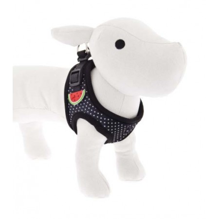 Arnés+Correa Piel Borchie 