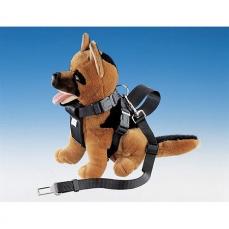 Cinturon De Seguridad Coche Negro. 25mm. 49-78 Cm