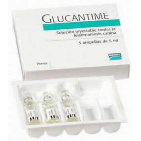 GLUCANTIME 5 x 5 ML
