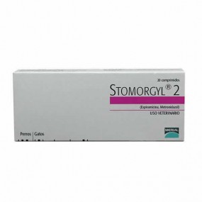 STOMORGYL 2KG 20 CP