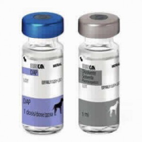 EURICAN DAP 1x10 D (Jeringas sin cargo)