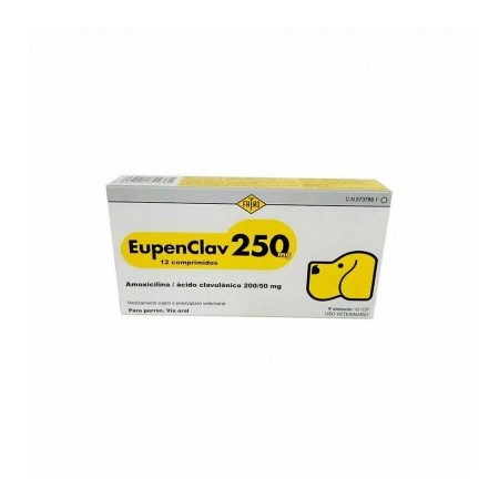 EUPENCLAV 250, 12 COM.