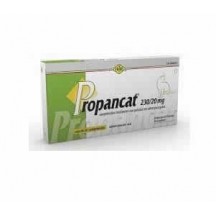 PROPANCAT 24 CP