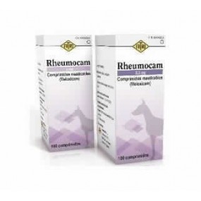 RHEUMOCAM 2,5 MG 100 COMPRIMIDOS