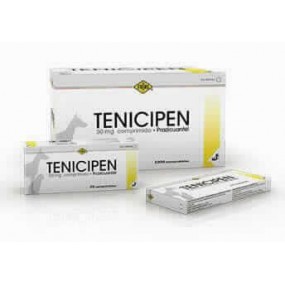 TENICIPEN 1000 CP