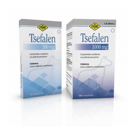 TSEFALEN 1.000 MG 104 COMP.