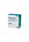 AMOXIBACTIN 50, 10 COMP