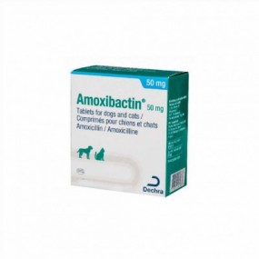 AMOXIBACTIN 50, 10 COMP