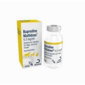 BUPREDINE 10 ML