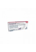 CARPORAL 160 MG 20 CP