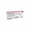 CARPORAL 160 MG 20 CP
