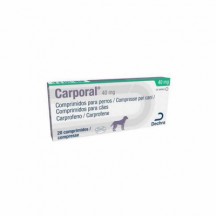 CARPORAL 40 MG 20 CP