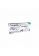 CARPORAL 40 MG 20 CP