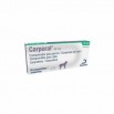 CARPORAL 40 MG 20 CP