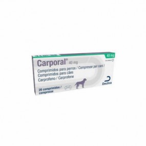 CARPORAL 40 MG 20 CP