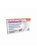 CEFABACTIN 1000 MG 10 TABS
