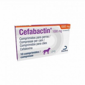 CEFABACTIN 1000 MG 10 TABS