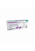 CEFABACTIN 250 MG 10 TABS