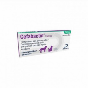 CEFABACTIN 250 MG 10 TABS