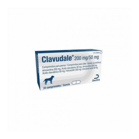 CLAVUDALE 250 MG 24 CP
