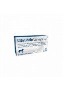 CLAVUDALE 250 MG 24 CP