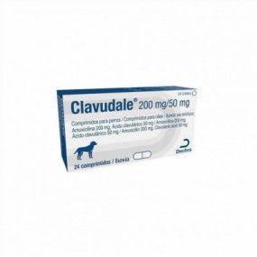 CLAVUDALE 250 MG 24 CP