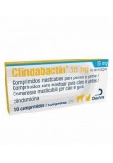 CLINDABACTIN 55 MG 10 COMPRIMIDOS