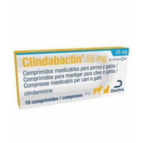 CLINDABACTIN 55 MG 10 COMPRIMIDOS