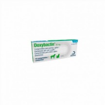 DOXYBACTIN 50 MG 1x10 COMP