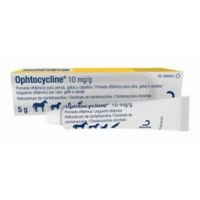 OPHTOCYCLINE POM. 5 GR.
