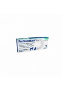 PREDNICORTONE 20 MG 30 COMP