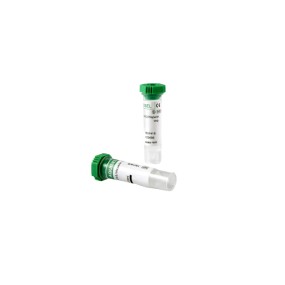 TUBO HEPARINA LITIO + GEL SEP VERDE 1ML 12x55 100U