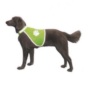 Chaleco de seguridad reflectante pequeño